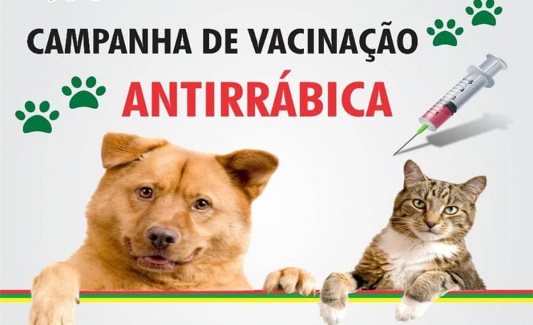 Campanha de vacinação antirrábica começa neste sábado em São Marcos