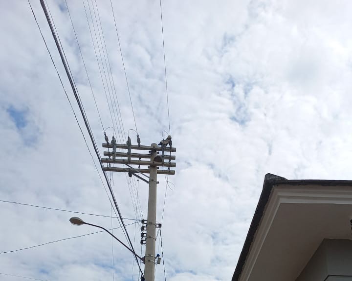 Ave encosta nos fios de alta tensão e deixa parte da cidade sem energia nesta segunda-feira