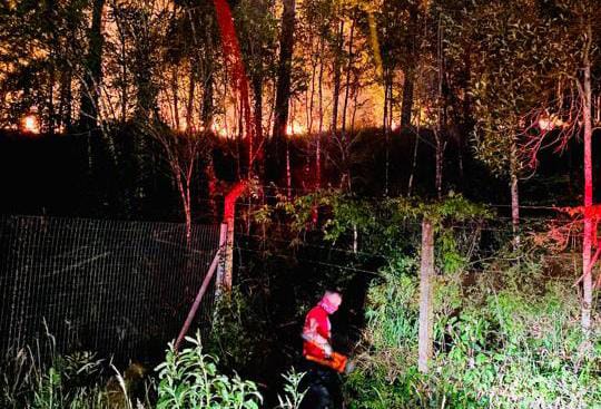 Bombeiros atenderam a dois chamados de incêndio em vegetação nesta quarta-feira (24)