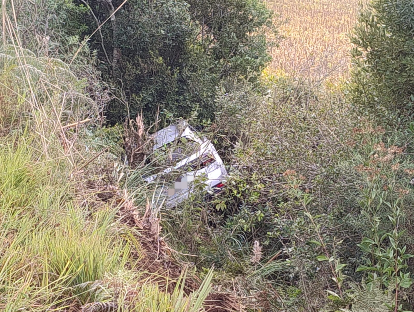 Veículo sai da pista na VRS-315 entre São Marcos e Criúva na última noite