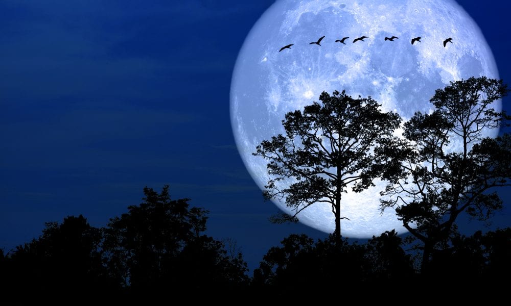 Julho terá Superlua, chuvas de meteoros e a passagem de um cometa