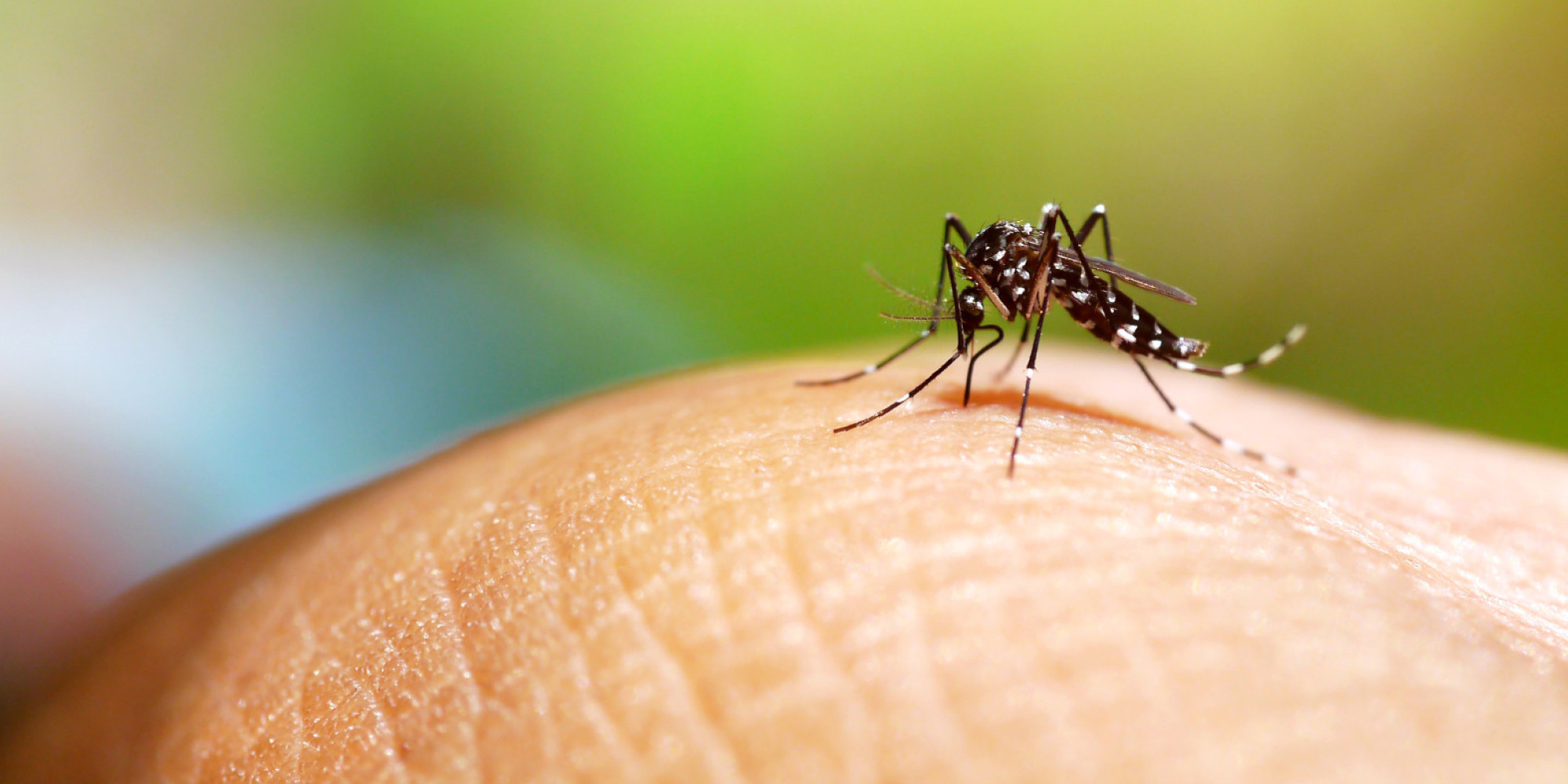 Rio Grande do Sul registra o quarto óbito por dengue em 2024