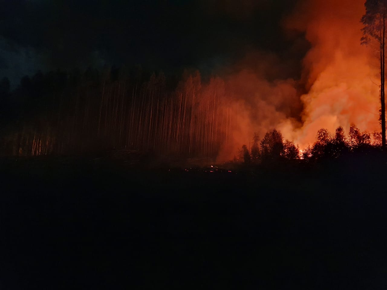 Bombeiros atendem incêndio de grandes proporções em vegetação na Linha Rosita