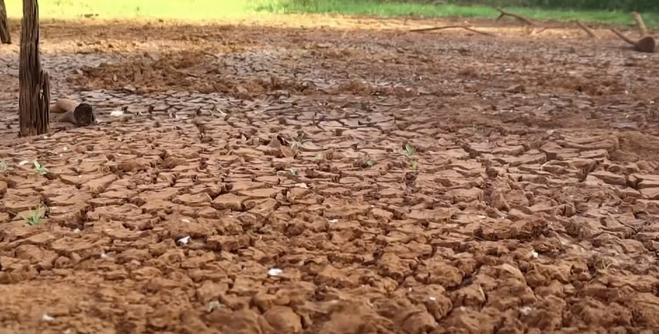 Emergência por estiagem no Rio Grande do Sul aumenta e vai piorar