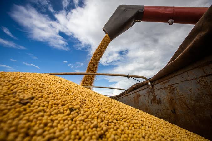 Exportações do agro brasileiro batem recorde em julho