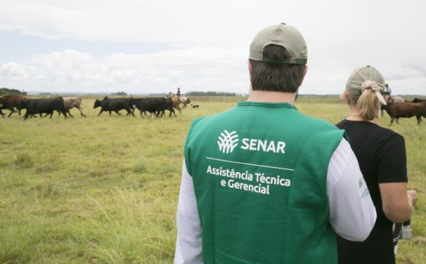 Oportunidade para pecuaristas: programa de assistência técnica e gerencial em Campestre da Serra