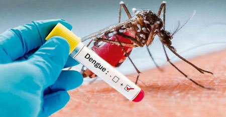 Rio Grande do Sul registra o segundo óbito por dengue em 2023