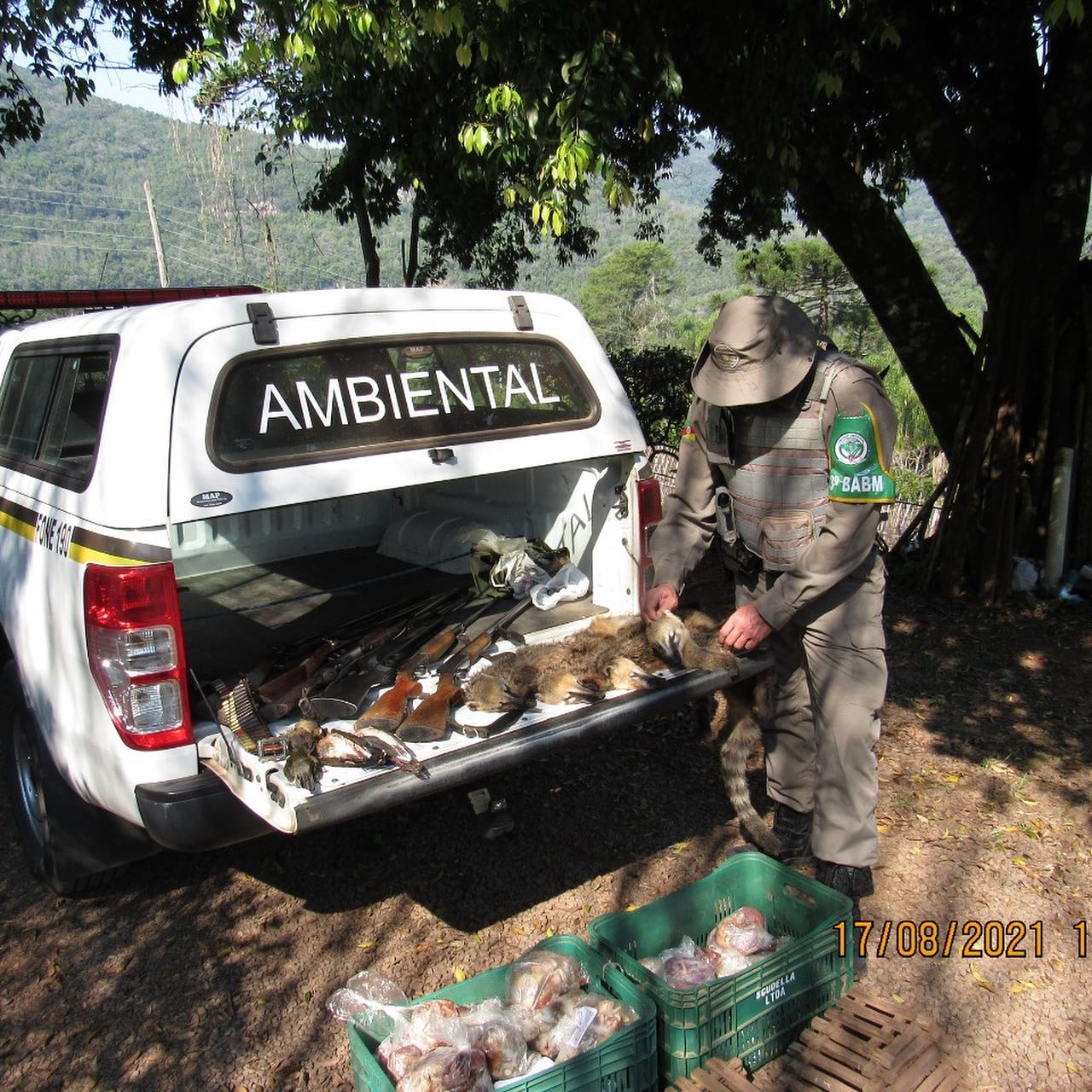 Dois homens foram presos por maus-tratos a cães, posse ilegal de armas de fogo e caça de animais silvestres em Caxias do Sul