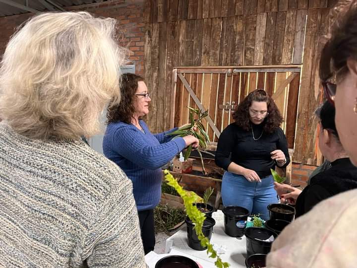 Agricultores participaram de curso gratuito de jardinagem