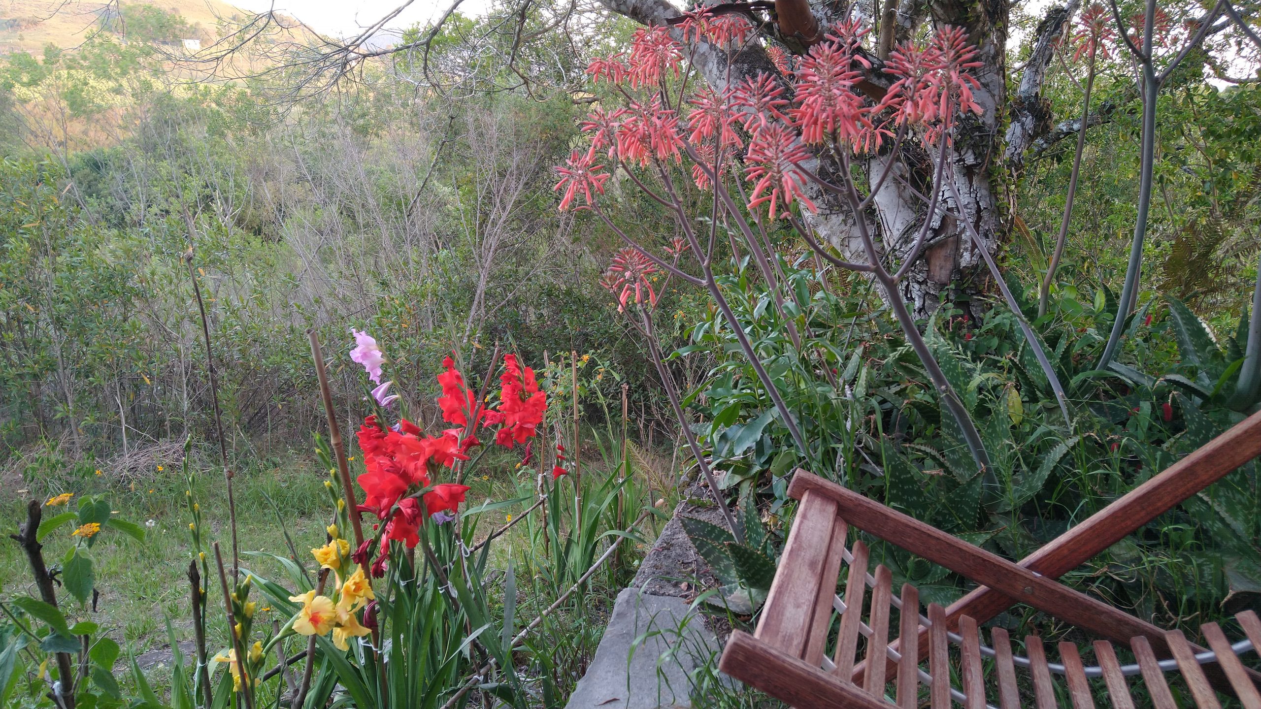 Contemplar a natureza é um luxo