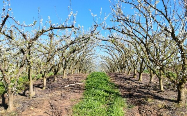 Campestre da Serra promove a Noite do Agro em setembro
