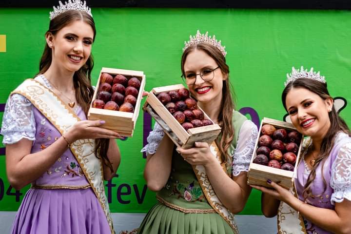Festa do Figo movimenta Nova Petrópolis neste fim de semana