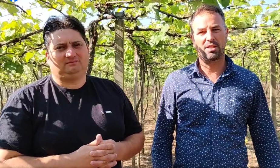 Tairo Balardin, do PP, é eleito prefeito de Campestre da Serra com 58,37% dos votos