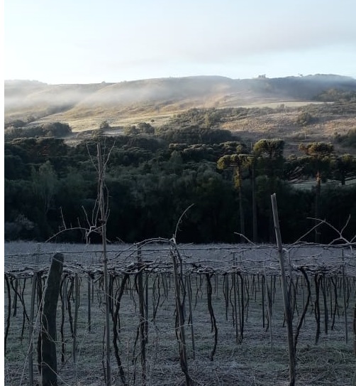 Terça-feira será típica de inverno no Rio Grande do Sul