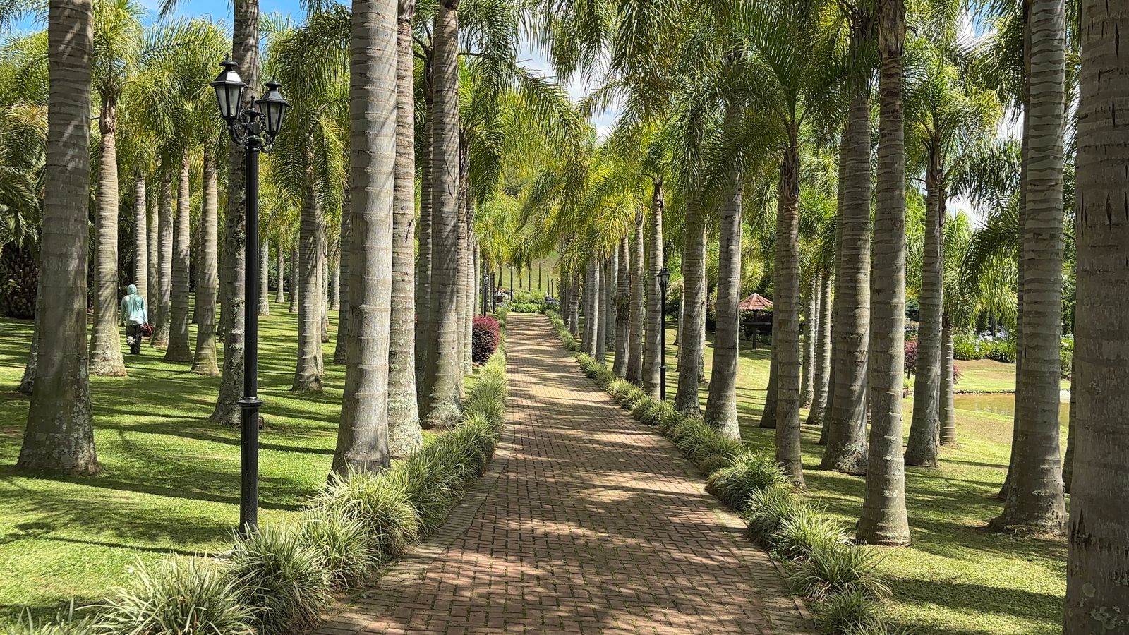 Semana de calor tórrido começa com máximas acima dos 30ºC nesta segunda-feira