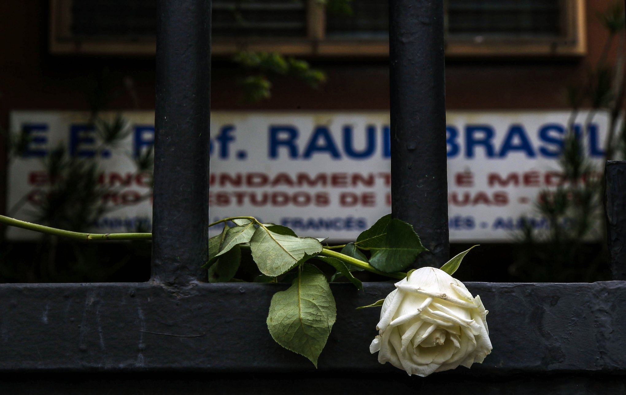 Luz de alerta – psicóloga analisa caso de massacre em Suzano SP