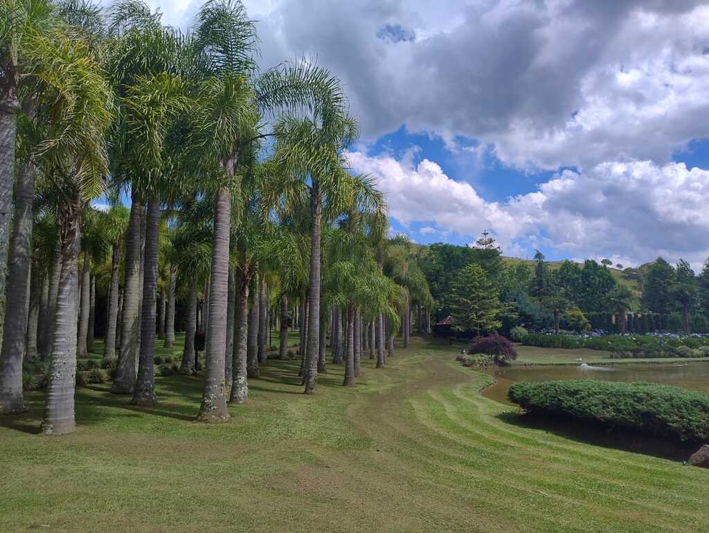 Tempo firme e calor acima de 30°C marcam a quinta-feira