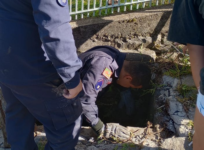 Bombeiros alertam para casos de Pitbulls soltos em São Marcos