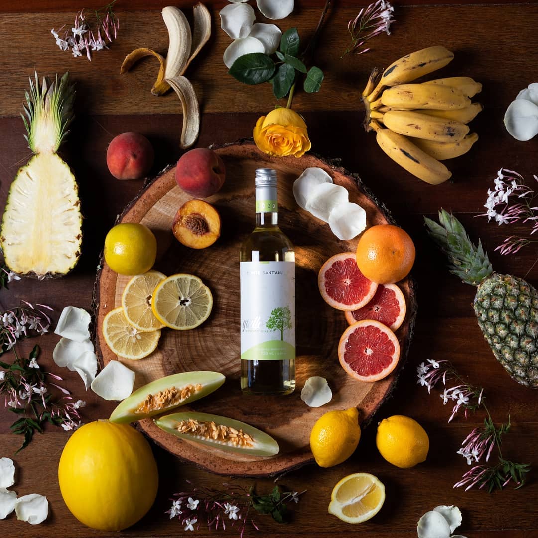 GP Vinhos do Brasil divulga os melhores vinhos do Brasil disponíveis no mercado