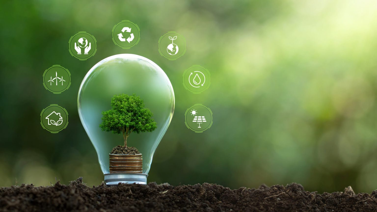 Taxonomia para a sustentabilidade e investimentos verdes: o que é e qual sua importância?