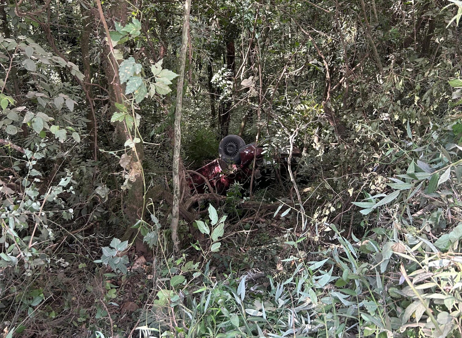 Condutor sai ileso após carro cair em ribanceira em Santo Henrique