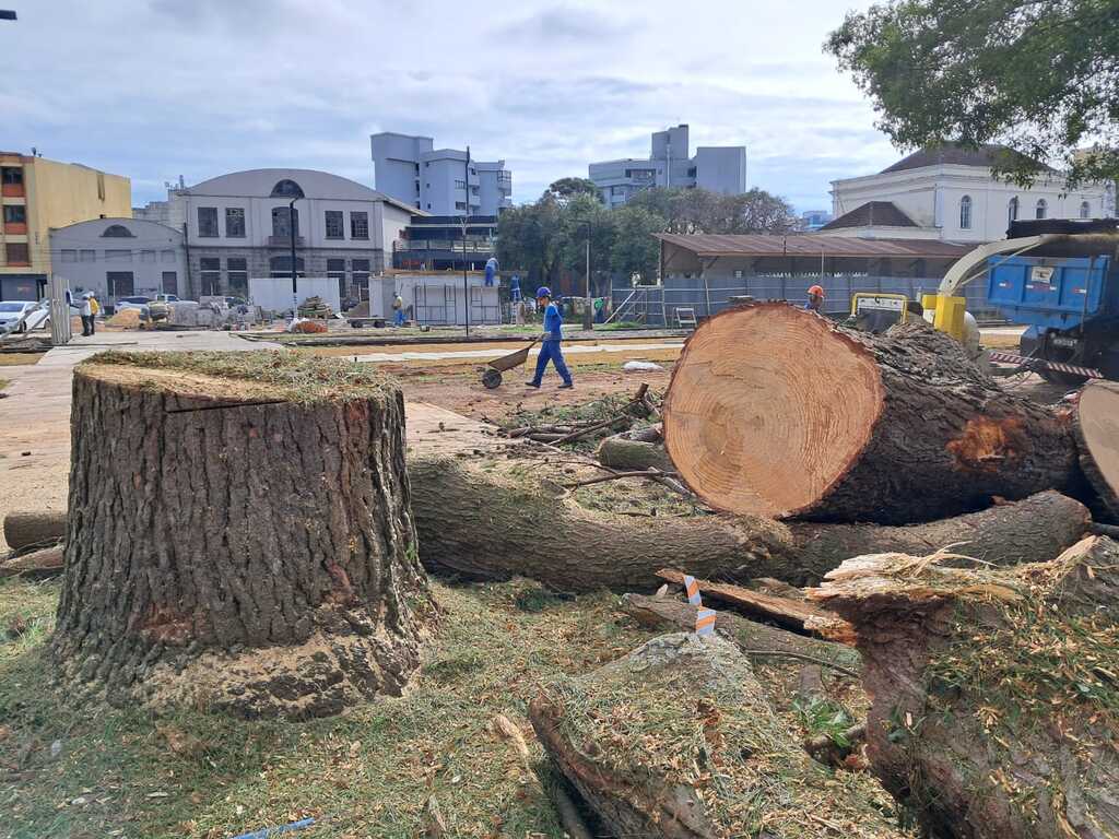 Especialista ministra palestra sobre arborização urbana em Caxias do Sul
