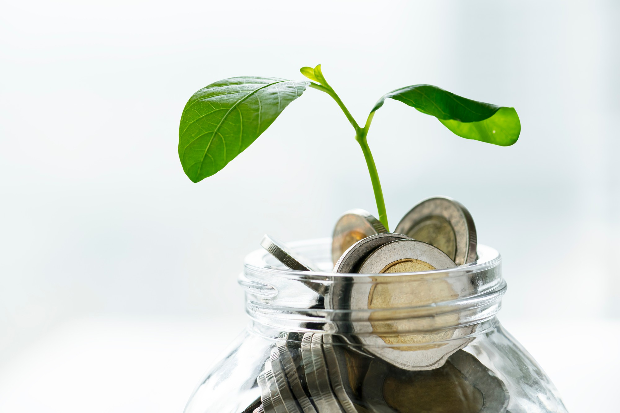 Comércio justo e sustentabilidade: a importância de conhecer a origem do que você consome