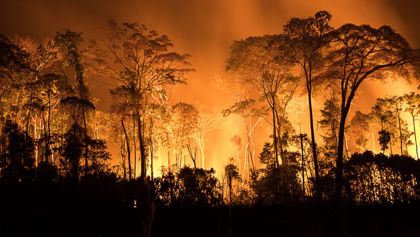 Fumaça das queimadas na Amazônia atingirá o Rio Grande do Sul no fim desta semana