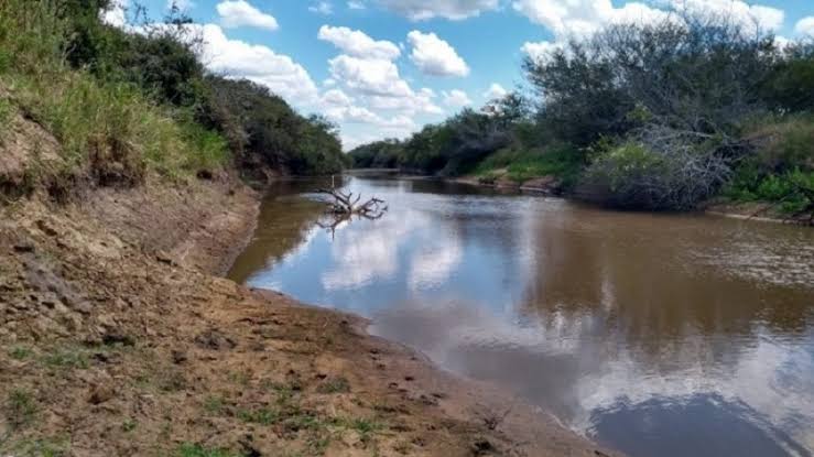 Fevereiro começa com quase metade das cidades gaúchas em emergência por estiagem