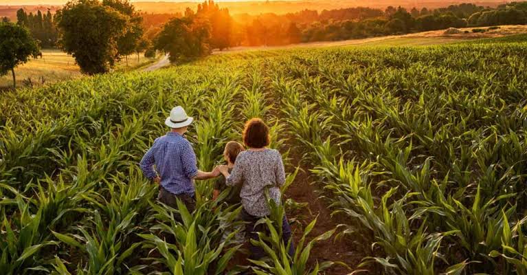 MDA lança programa de gestão para cooperativas da agricultura familiar