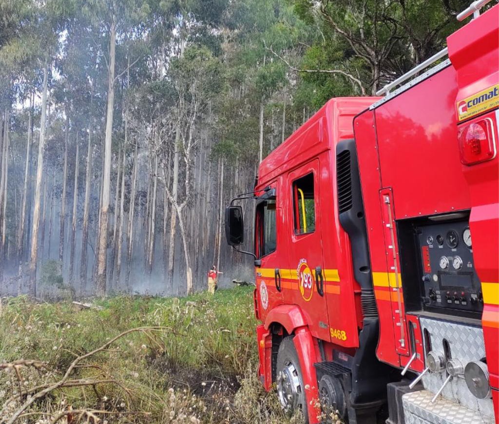 Bombeiros atendem três incêndios em vegetação em três dias
